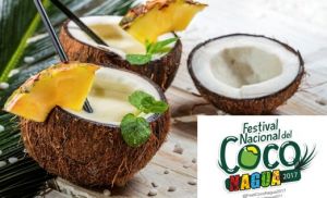 Недвижимость в Доминикане информирует: Доминикана готовится провести первый Фестиваль кокоса